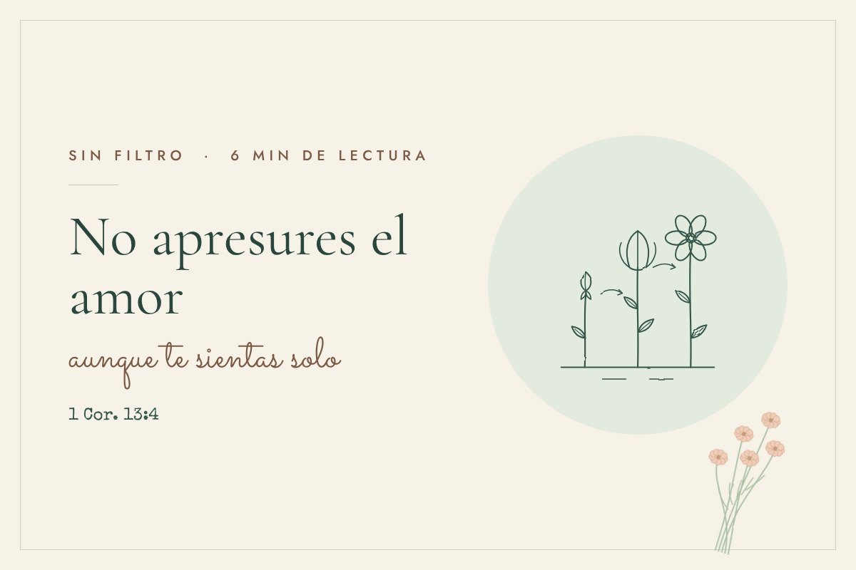 Ilustración de línea fina. Un capullo se abre poco a poco hasta convertirse en flor.