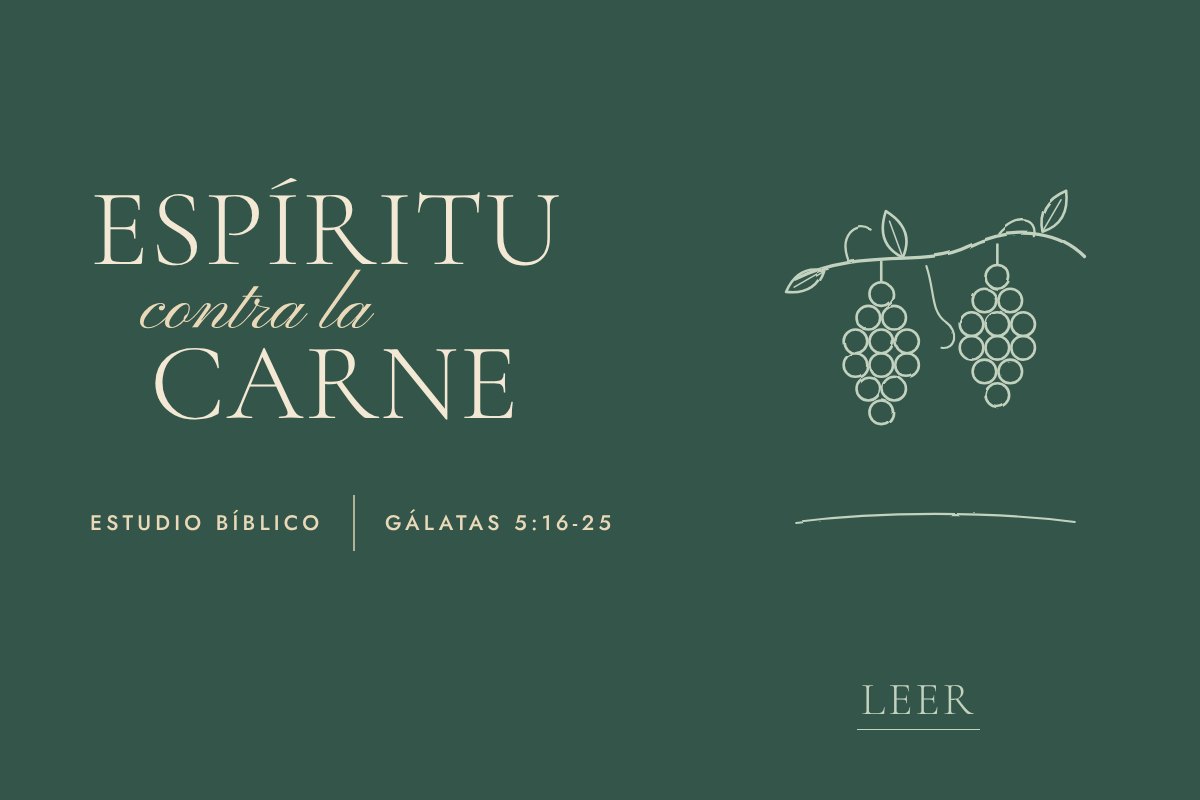 Ilustración de línea fina. Una vid cargada de uvas.