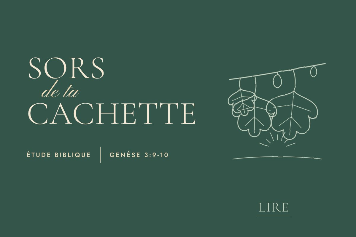 Illustration au trait fin. Des feuilles de figuier et des fruits suspendus à une branche.