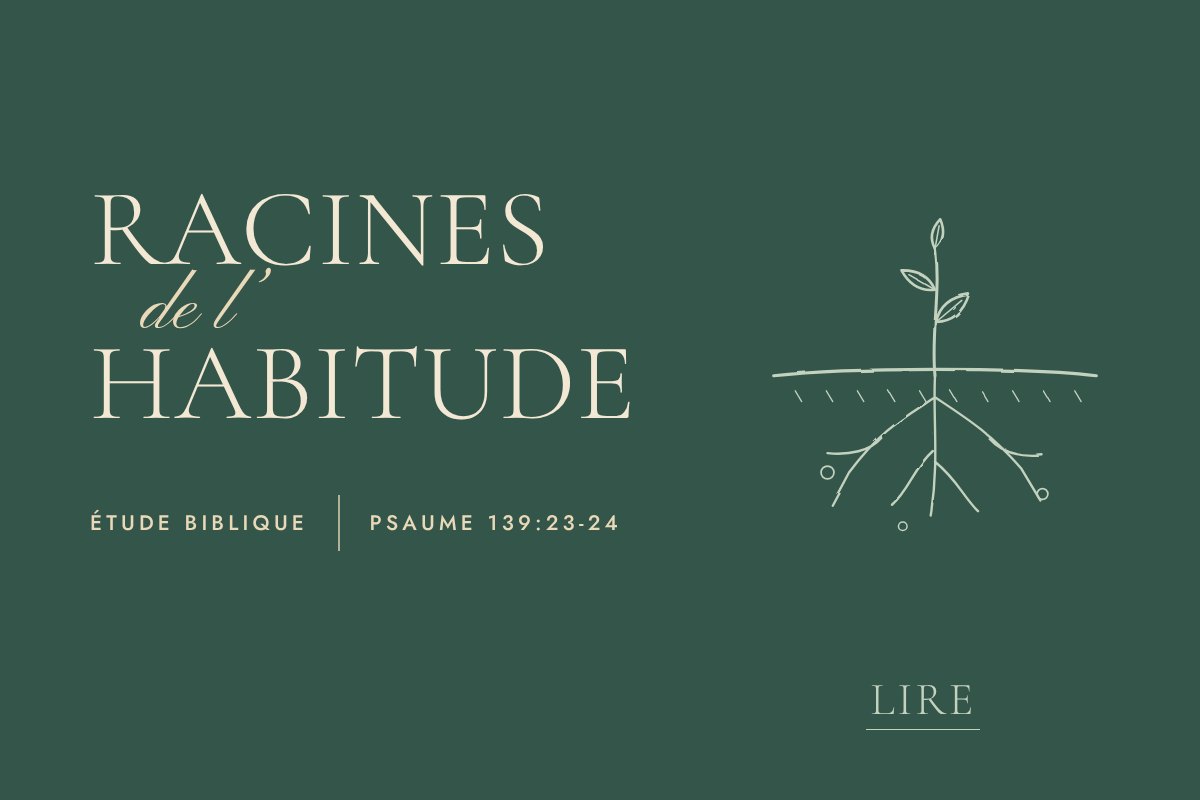 Illustration au trait fin. Une jeune plante dont les racines apparaissent sous la terre.