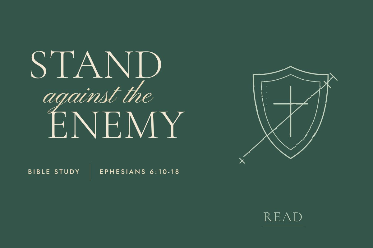 Fine-line illustration. A shield marked with a cross and a sword.